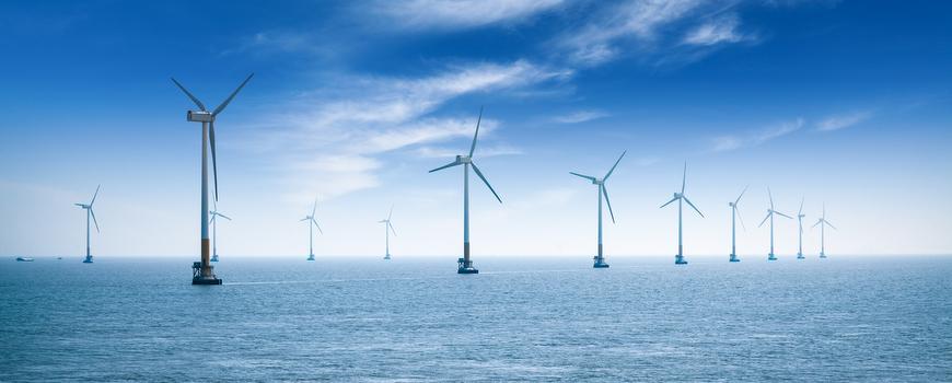 Impact of offshore wind on the marine environment
